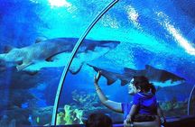 Private Tour to The Best of Animal Attractions in Kuala Lumpur