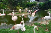 Private Tour to The Best of Animal Attractions in Kuala Lumpur