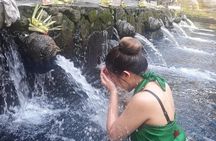 Full-Day Ubud Village including Mt Batur Tirta Empul and Sightseeing Tour