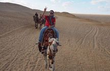 2 Private day tours in Giza pyramids and Cairo city with 2 airport Transfers