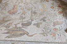 Guided Bike Tour of Carthage Archeological Site in Tunisia