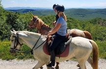 Half-Day Horseback Ride in Tuscany for beginner riders