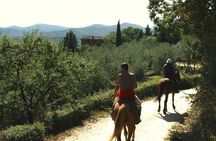 Horse Riding in Tuscany for Experienced Riders: Full-day Trail Ride