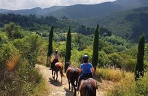 Horse Riding in Tuscany for Experienced Riders: Full-day Trail Ride