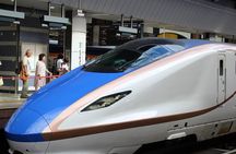 Tokyo Layover Tour with a Local: Private and Tailored to Your Needs 