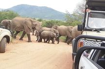 2 Days Pilanesberg Safari 4 star lodge 