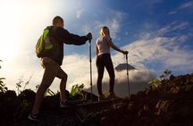 Arenal Volcano National Park Walk with Optional Hot Springs