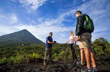 Arenal Volcano National Park Walk with Optional Hot Springs