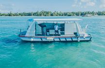 Snorkel Lovers for All Ages & Premium Seafood Lunch in Punta Cana