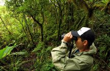 Cloud Forest Hike at Juan Castro Blanco National Park