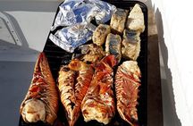 Private 1/2 Day Morning Charter Snorkel or Cruise on Shady Grady