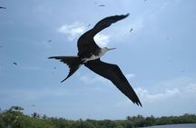 Isla Contoy Eco Adventure
