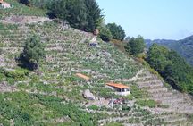 Ribeira Sacra From Lugo