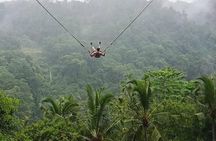 No. 1. Of ubud activites tour - Bali 