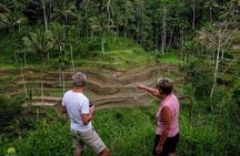 Private Tour: Balinese Culture and Scenery (visit ubud area)