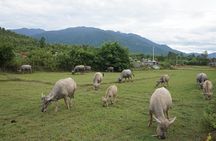 Easy Rider Hoi An to DaLat 5 Day Tours 