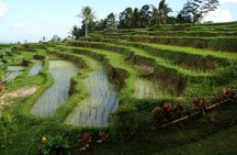 Full-day Western Bali Tour with Sunset at Tanah lot Temple