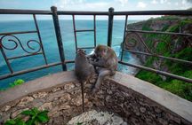 Uluwatu Temple Balangan Beach eBike Private Tour 
