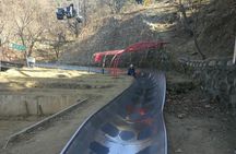 Private Tour to Mutianyu Great Wall Cable Way Up & Toboggan Down