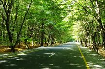 Private Gabala Tour