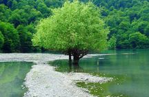 Private Gabala Tour