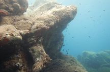 Discover Scuba Diving