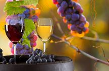 Vinyard Tour By Horse & Carriage With Delicious Tasting - Umbria