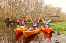 Blue Springs Manatee Tours & Wildlife Adventure Orlando