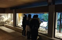 North Vancouver Discovery Private Tour