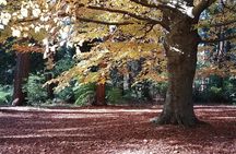 Vancouver City Highlights Explorer Private Tour
