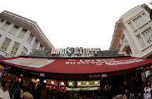 Private Full Day Singapore City Tour with Professional Tour Guide