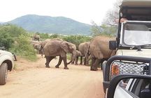 2 Days Pilanesberg Safari 4 star lodge 