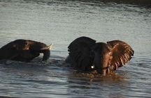 3 Days Johannesburg - Kruger Safari- Blyde River Canyon