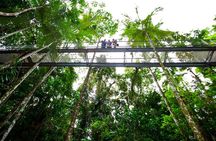 Daintree Discovery Centre Single Pass