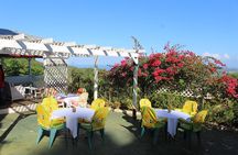 Skip the Line: Ahhh Ras Natango Gallery and Garden Admission Tickets