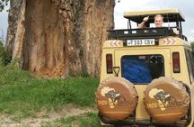 4 Days Affordable Tanzania Budget Safari