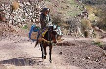 Day tour in high Atlas mountains
