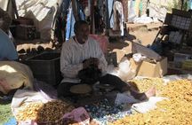 Day tour in high Atlas mountains