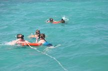 Great Snorkeling Cruise with Sharks & Stingray Encounter and Natural Pool