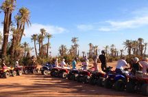 Camel Ride and Quad Bike in Palmeraie