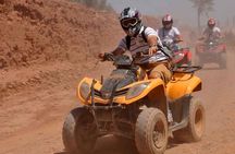 Camel Ride and Quad Bike in Palmeraie