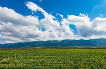 6-Day Private Boutique Tour: Wine and History of Bulgaria