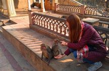 10-Days Rajasthan & Agra tour from Delhi Includes Hotels,Transportations & Guide