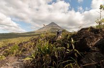 Half-Day Tour with La Fortuna Waterfall and Arenal Volcano Hike 
