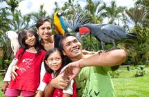 Bali Bird Park Admission Ticket with Hotel Transfer