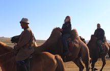 3 Day Mongolia Getaway tour Private tour