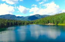 Whistler Sightseeing Tour from Vancouver: See Horseshoe Bay and Shannon Falls