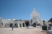 Guided Tour of Djerba island, Museums, Crocodile park & lunch