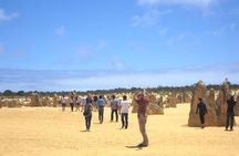 Pinnacles & Rottnest Island Scenic Air & Ground Tour