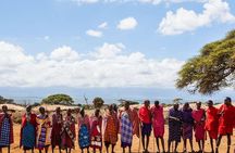 3 Day Tour to Amboseli Tsavo West & East to Mombasa/Diani/Nairobi